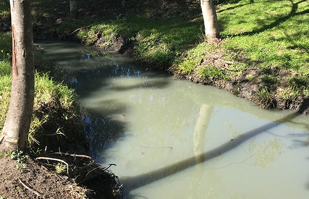 Article image for ‘Lifeless’ Stony Creek cause for concern for residents in Melbourne’s west