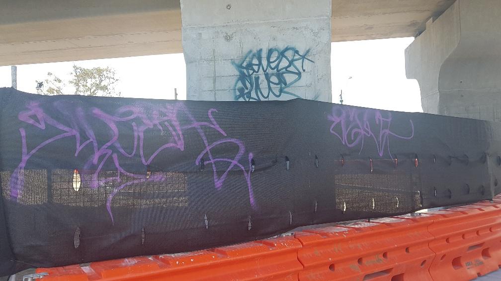 Article image for SkyRail underpass already tagged with graffiti