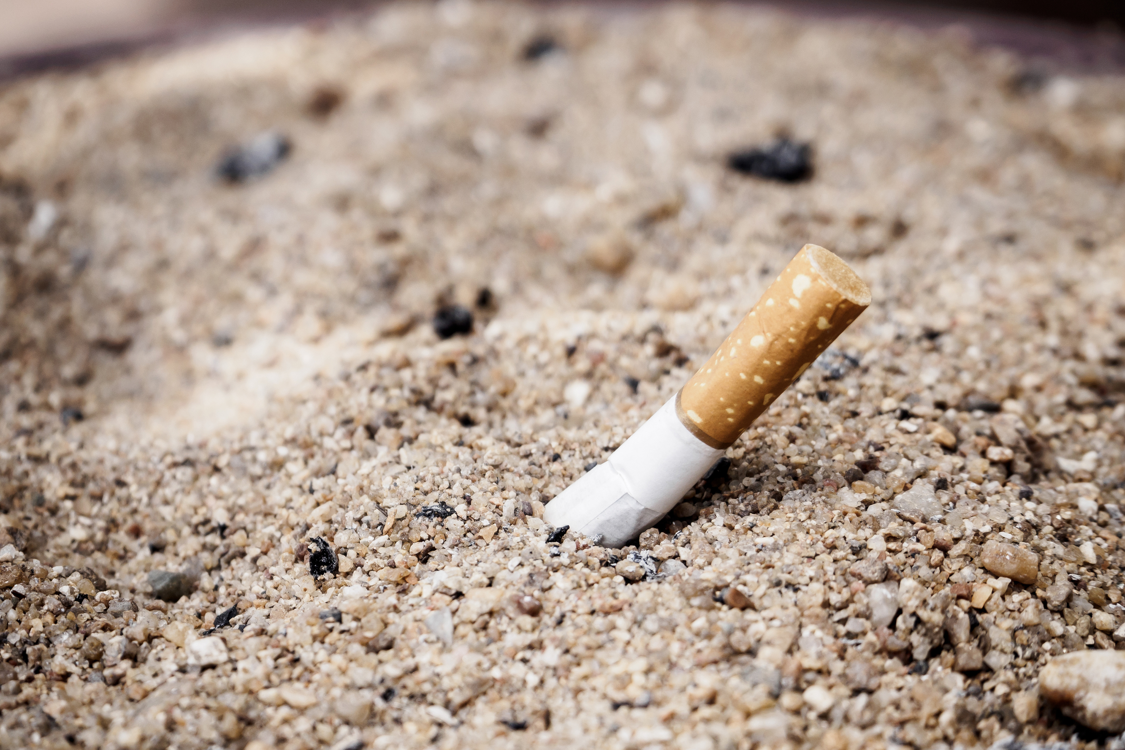 Article image for CBD lobby group urges more action on cigarette littering