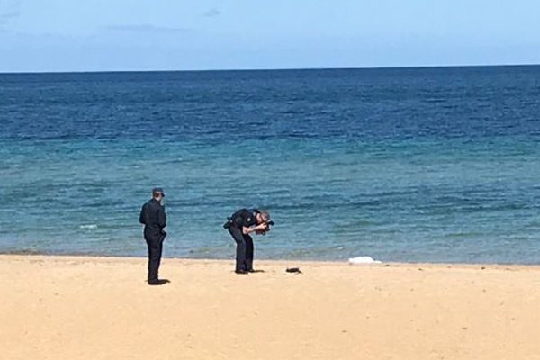 Article image for Body found on beach in Melbourne’s south-east