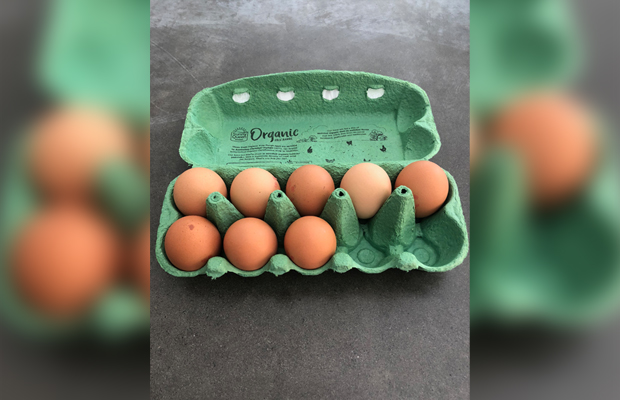 Article image for Tom’s noticed something interesting about these eggs!