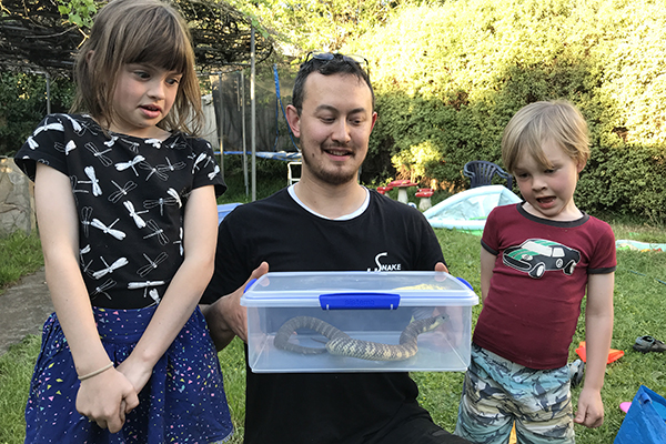 Article image for Preston family’s frightening encounter with tiger snake curled up in toy box