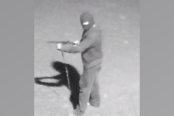 Article image for Police offer $350,000 following ‘vicious’ armed robbery in Sunshine