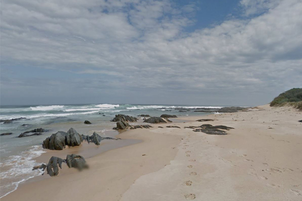 Article image for Experts fear none of the 28 whales stranded on Gippsland beach will survive