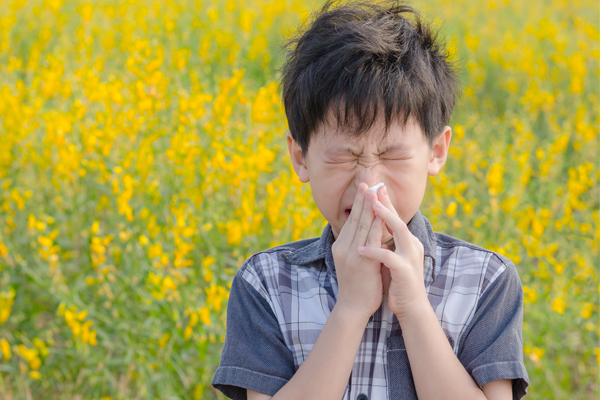 Article image for Rumour confirmed: Students kept indoors due to “hayfever concerns”