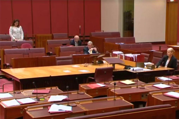 Article image for Tom Elliott wants to know why parliament is half empty