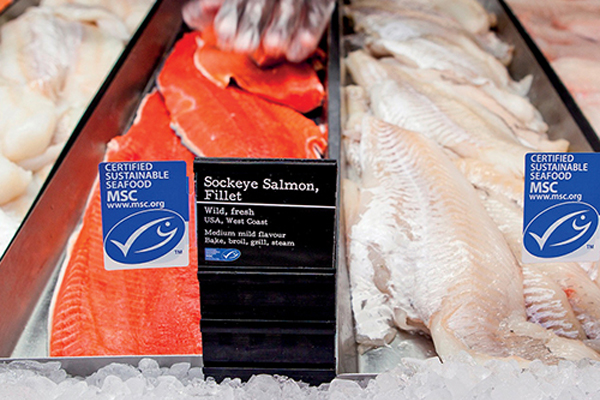 Article image for Sustainable seafood: What is it and how do we know if we’re buying it?