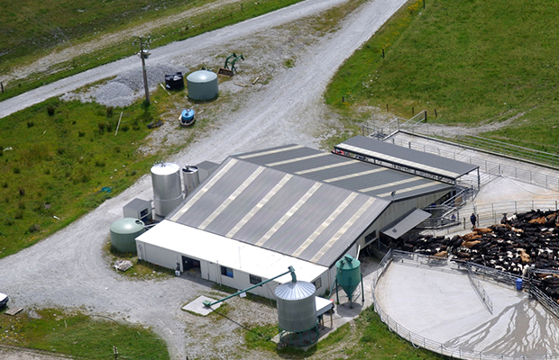 Article image for Thieves using drones as Victorian farm thefts reach shocking level