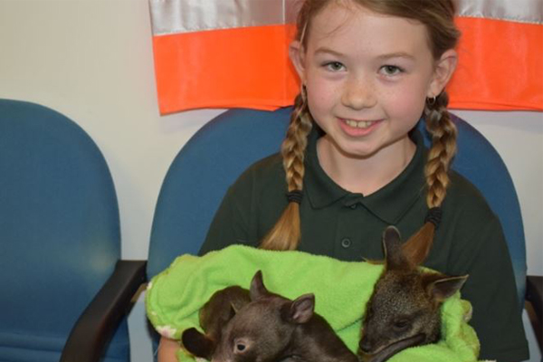 Article image for Little 8-year-old Logan fundraising to buy local wildlife rescue service a car