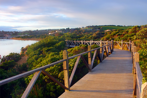 Article image for Hundreds of special visas to be approved to lure more migrant workers to Warrnambool