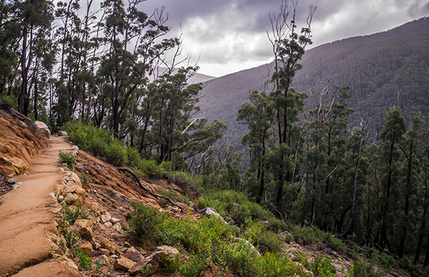 Article image for Rescue operation begins for lost hiker in Wilsons Prom