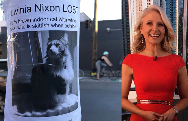 Article image for Livinia Nixon helps 3AW find a missing Collingwood cat called … Livinia Nixon!?