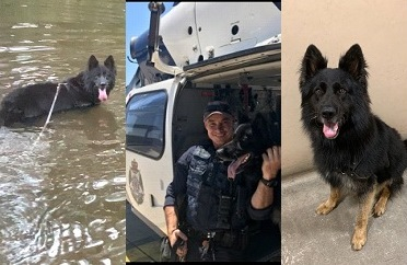 Article image for Rocky the police dog saved the day — then refused to follow orders!
