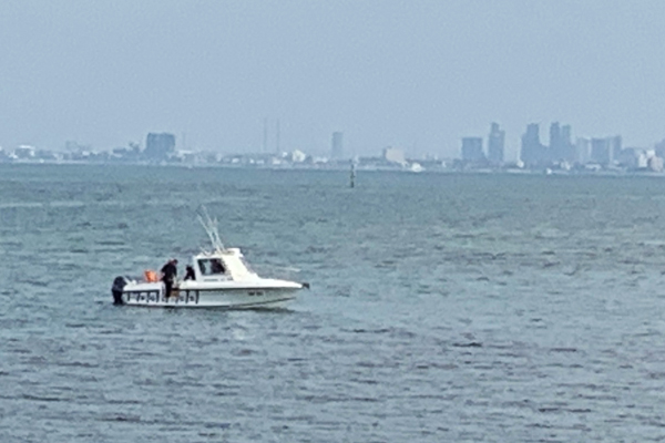Article image for Body found floating at Brighton beach