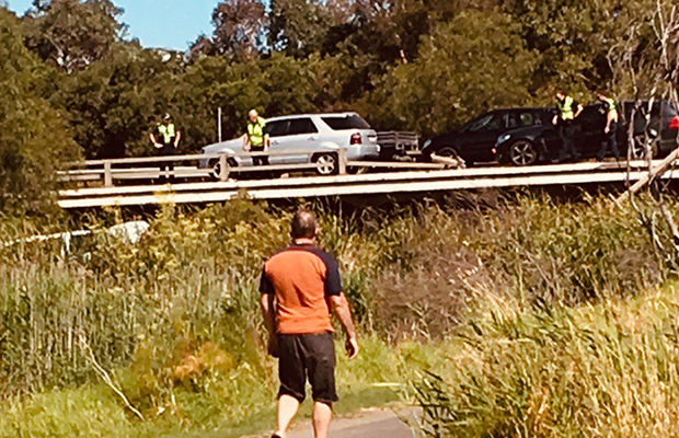 Article image for Car veers off Princes Freeway and into creek