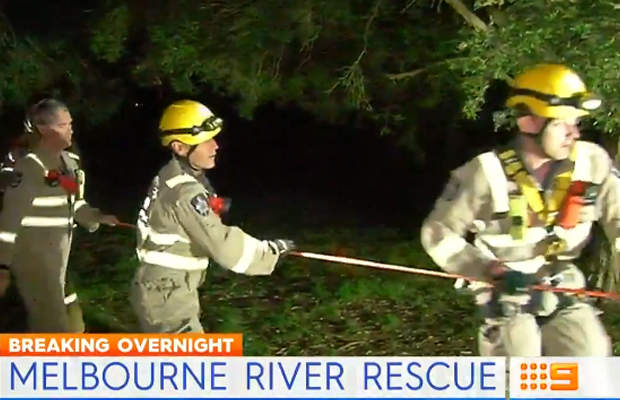 Article image for Couple rescued after chasing dogs into Heidelberg river