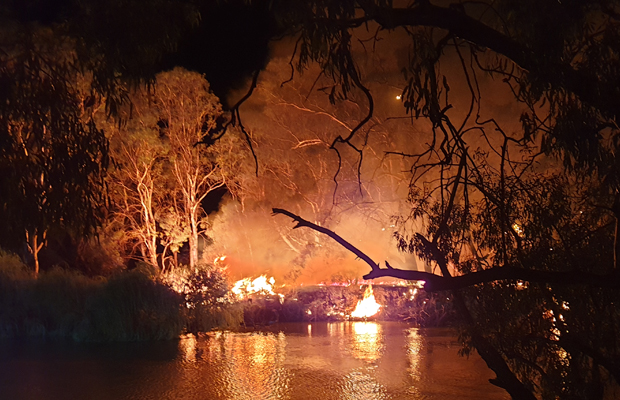 Article image for Fireworks spark dangerous grass fire on Murray river — spectacular images