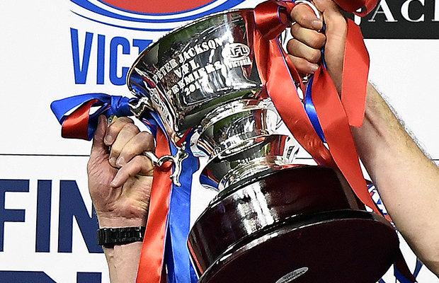 Article image for Port Melbourne searching for stolen premiership cup