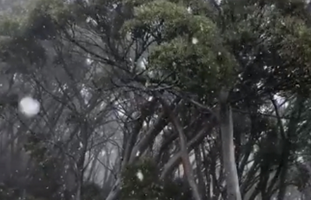 Article image for It’s snowing at Mt Baw Baw … in February!