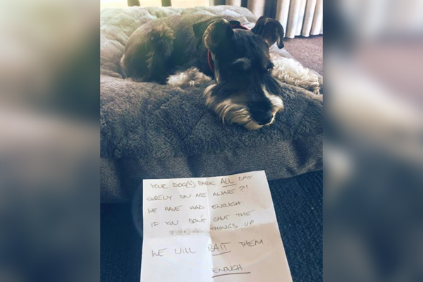 Article image for Rumour File: Williamstown dog owner receives disturbing anonymous letter