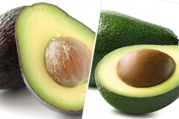 Article image for Hass avocado season is over so get ready for the disappointment that is Shepard avo season