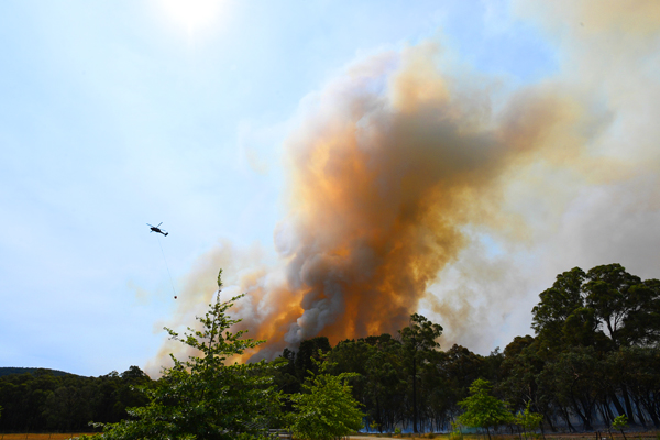 Article image for Bunyip and Licola fires so intense they generated their own weather systems