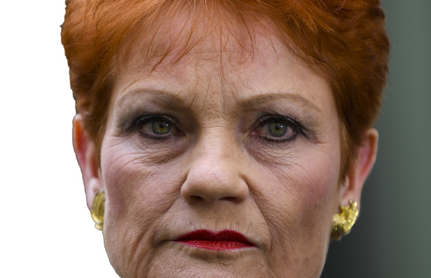 Article image for Pauline Hanson has taken politics to a new low: Alannah and Madeline’s dad