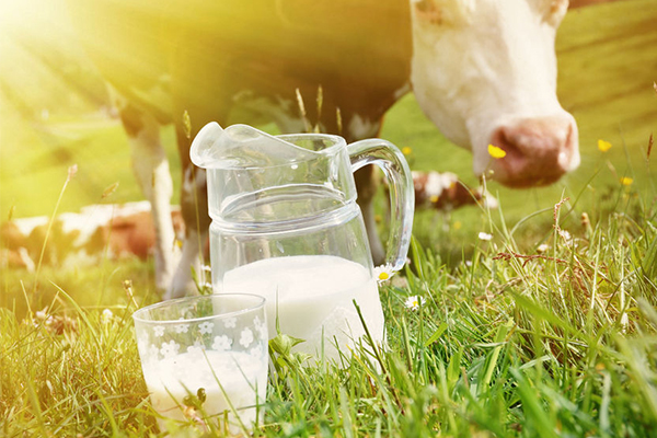 Article image for Coles and Aldi raise their milk price in support of dairy farmers