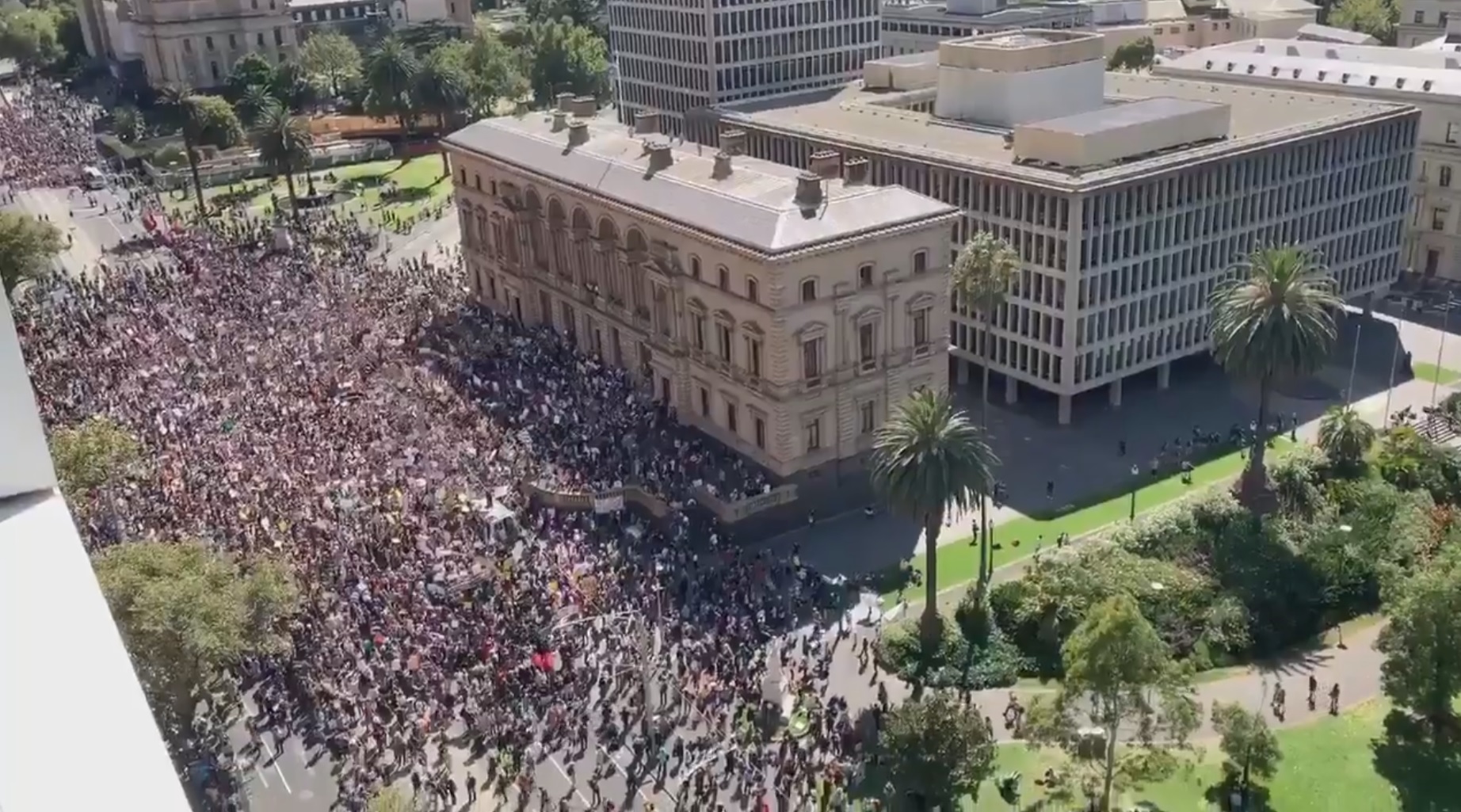 Article image for Thousands of kids walk out of school for CBD climate change protest