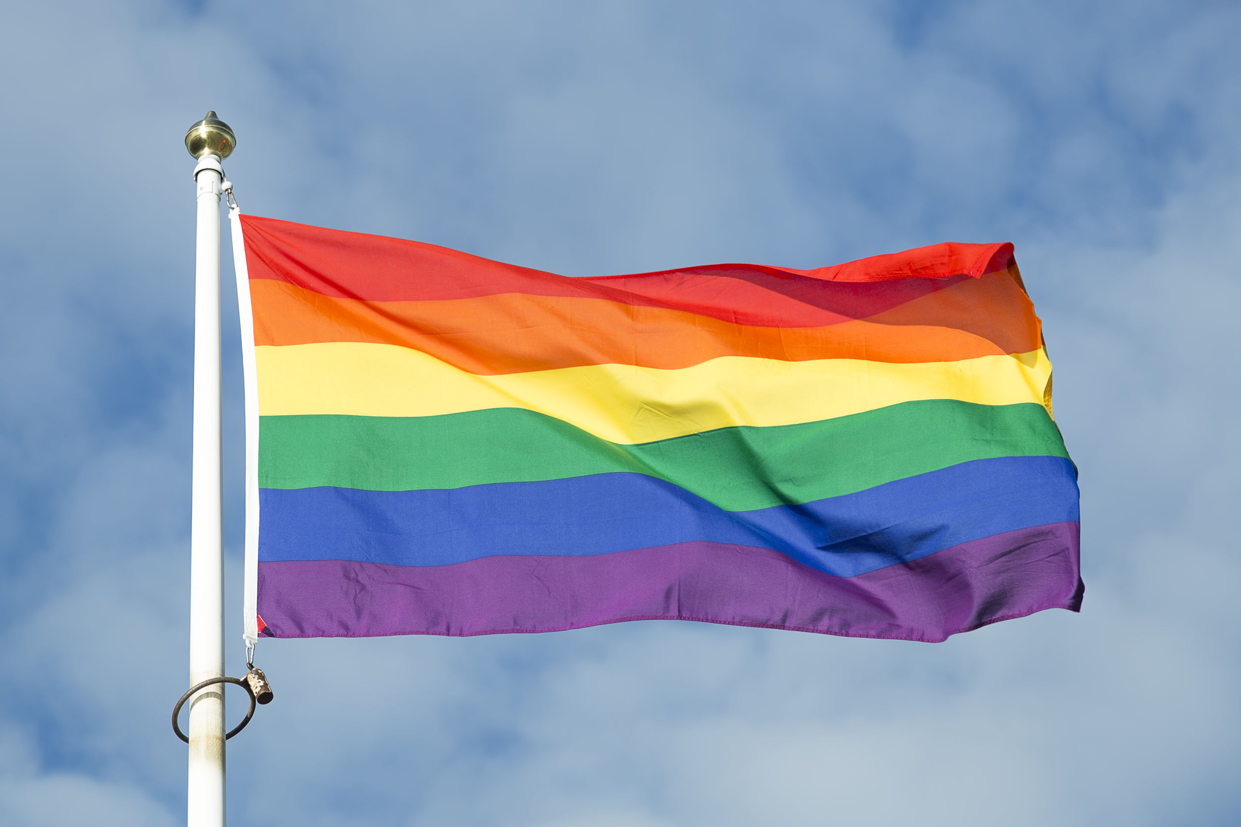 are people using the new gay pride flag