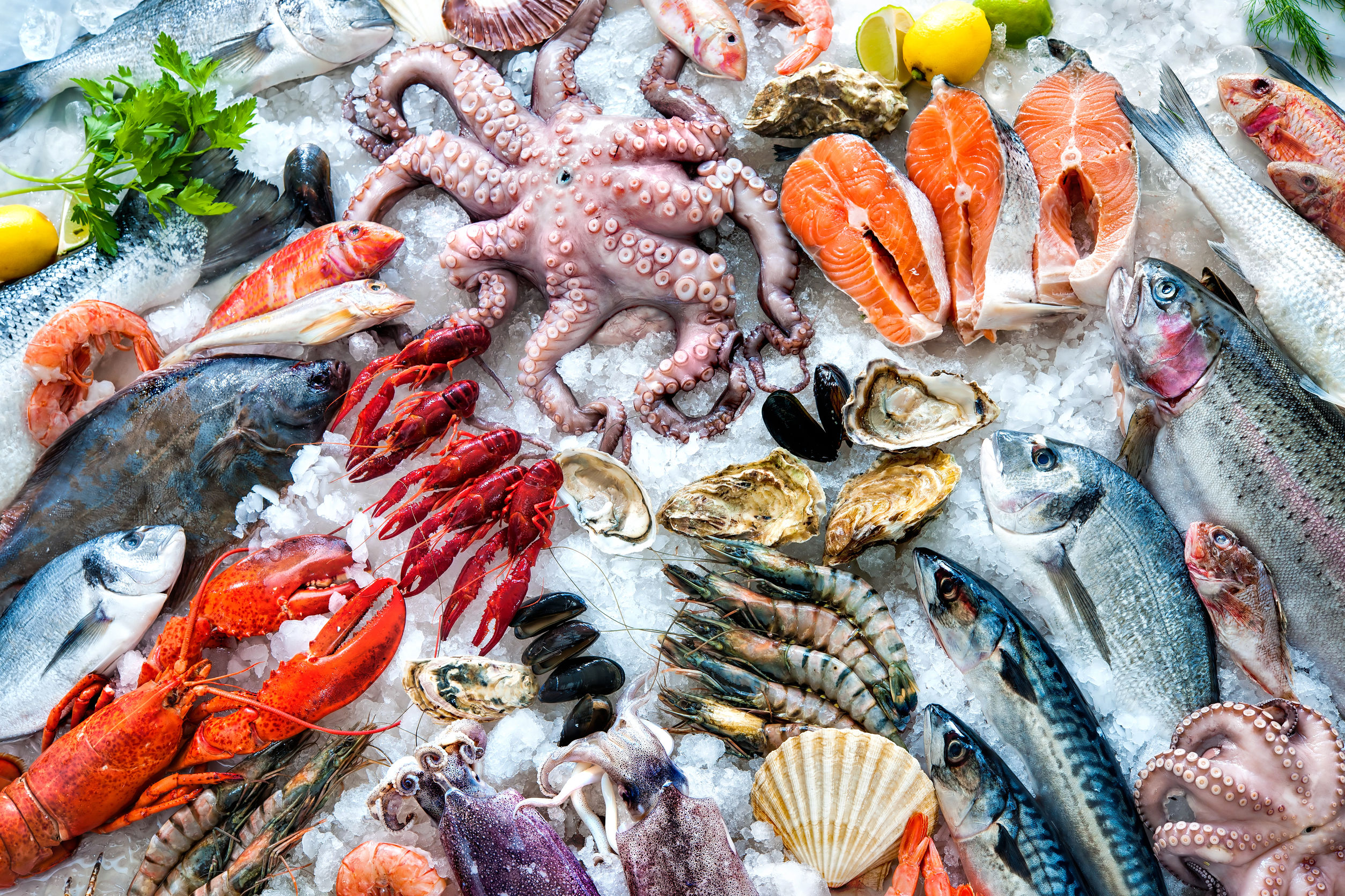 Article image for Wendy Hargreaves: Where to buy fish in Melbourne this Easter