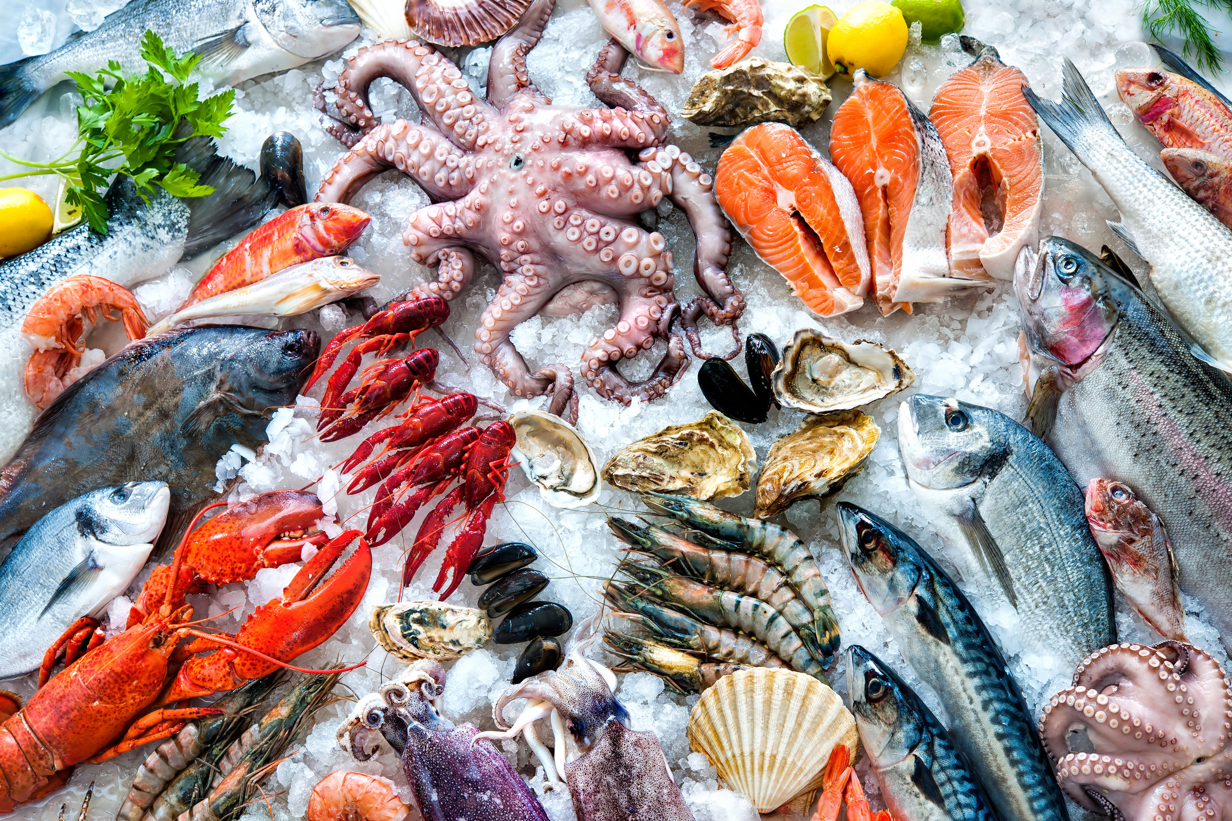 Seafood delivered melbourne deals