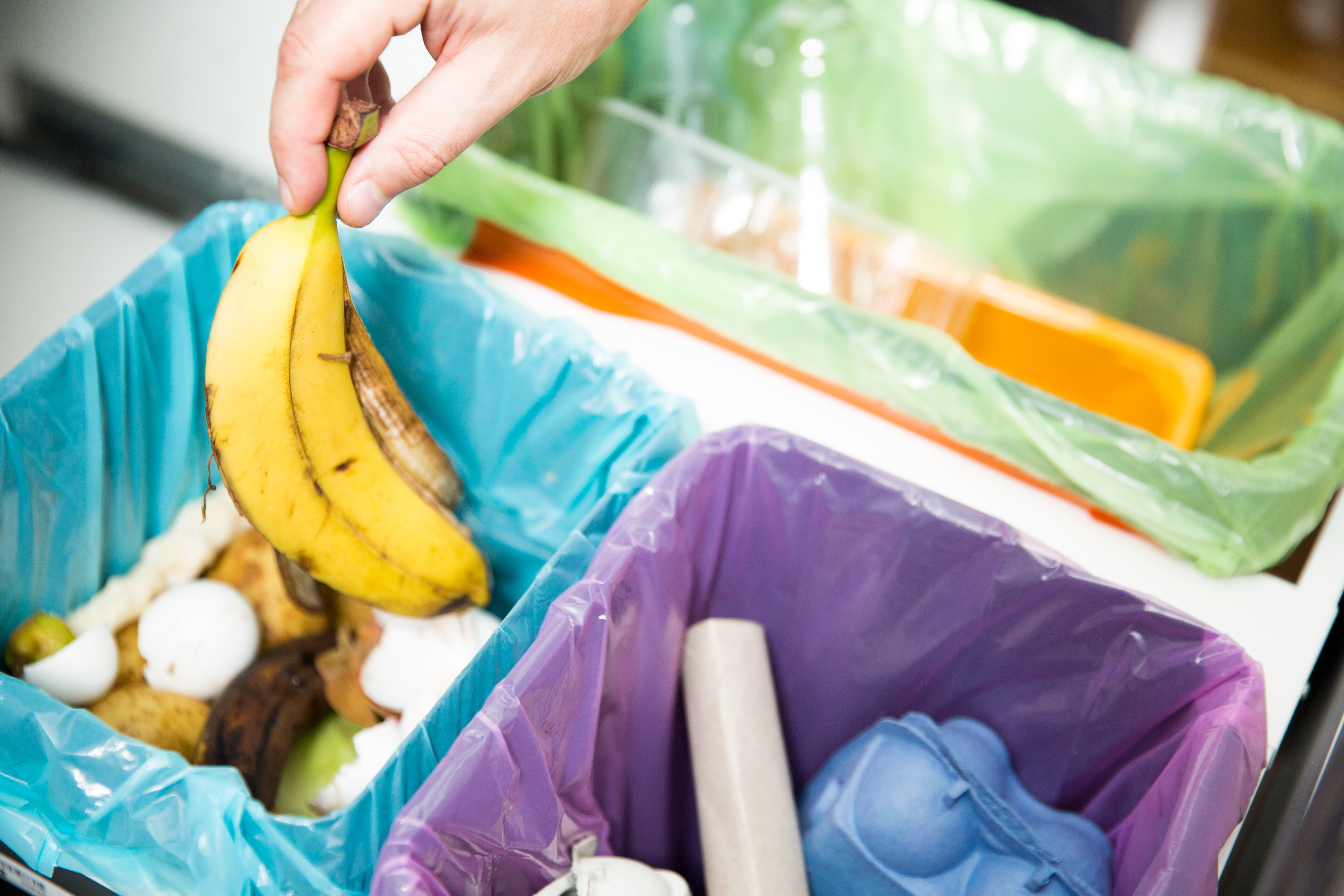 Article image for ‘We’re moving with the times’: Third bin to be trialed in waste reduction bid