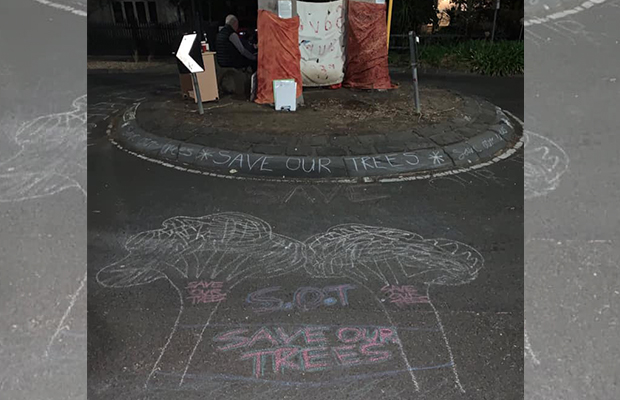 Article image for Teens scale gum trees at Alphington intersection to stop them being cut down