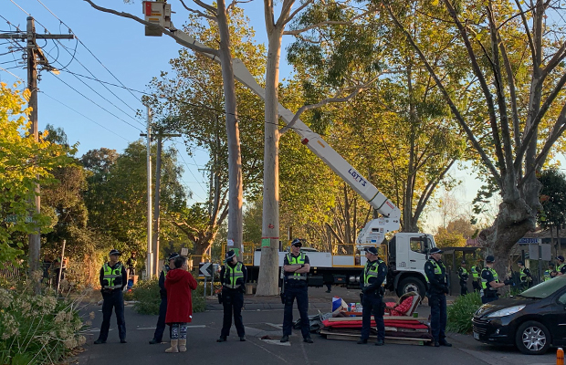 Article image for Police swarm on Alphington roundabout as gum tree protest heats up