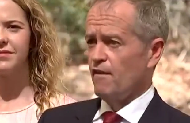 Article image for Shorten faces more pressure over superannuation gaffe