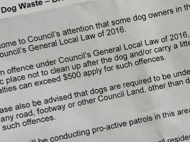 Article image for City of Yarra Mayor promises dog poo crackdown