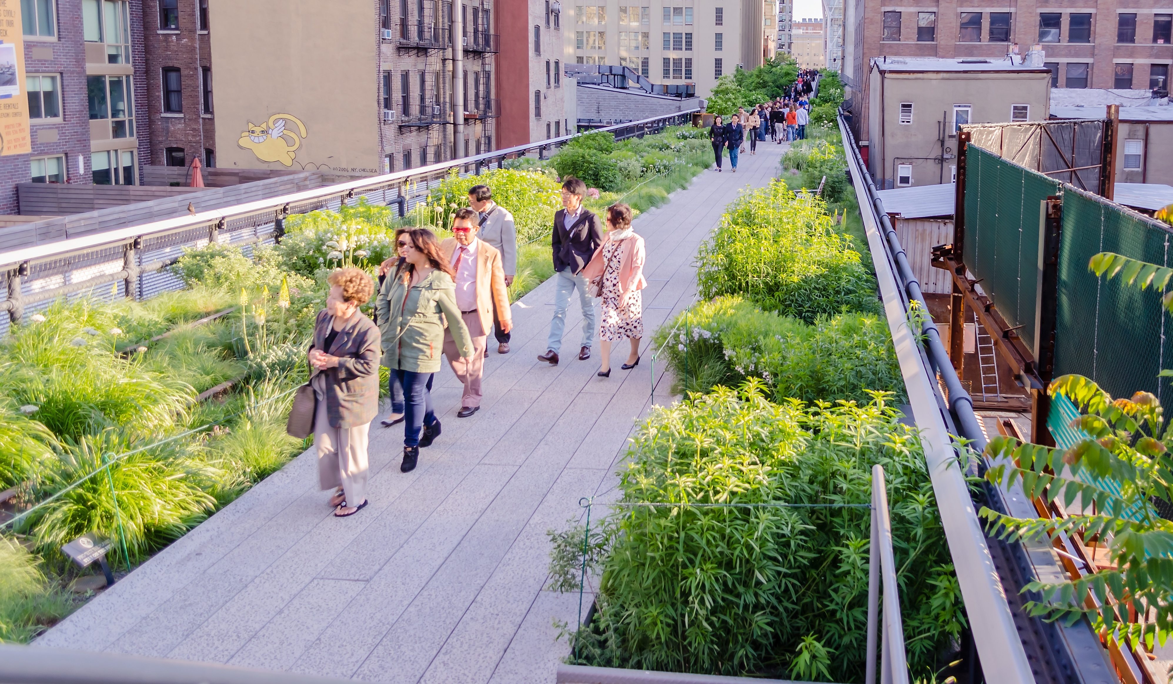 Article image for Concrete jungle: Green roof push to transform Melbourne’s skyline