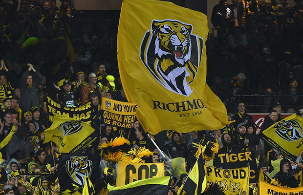 Article image for Three-game ban for Richmond fan puts footy fans on notice