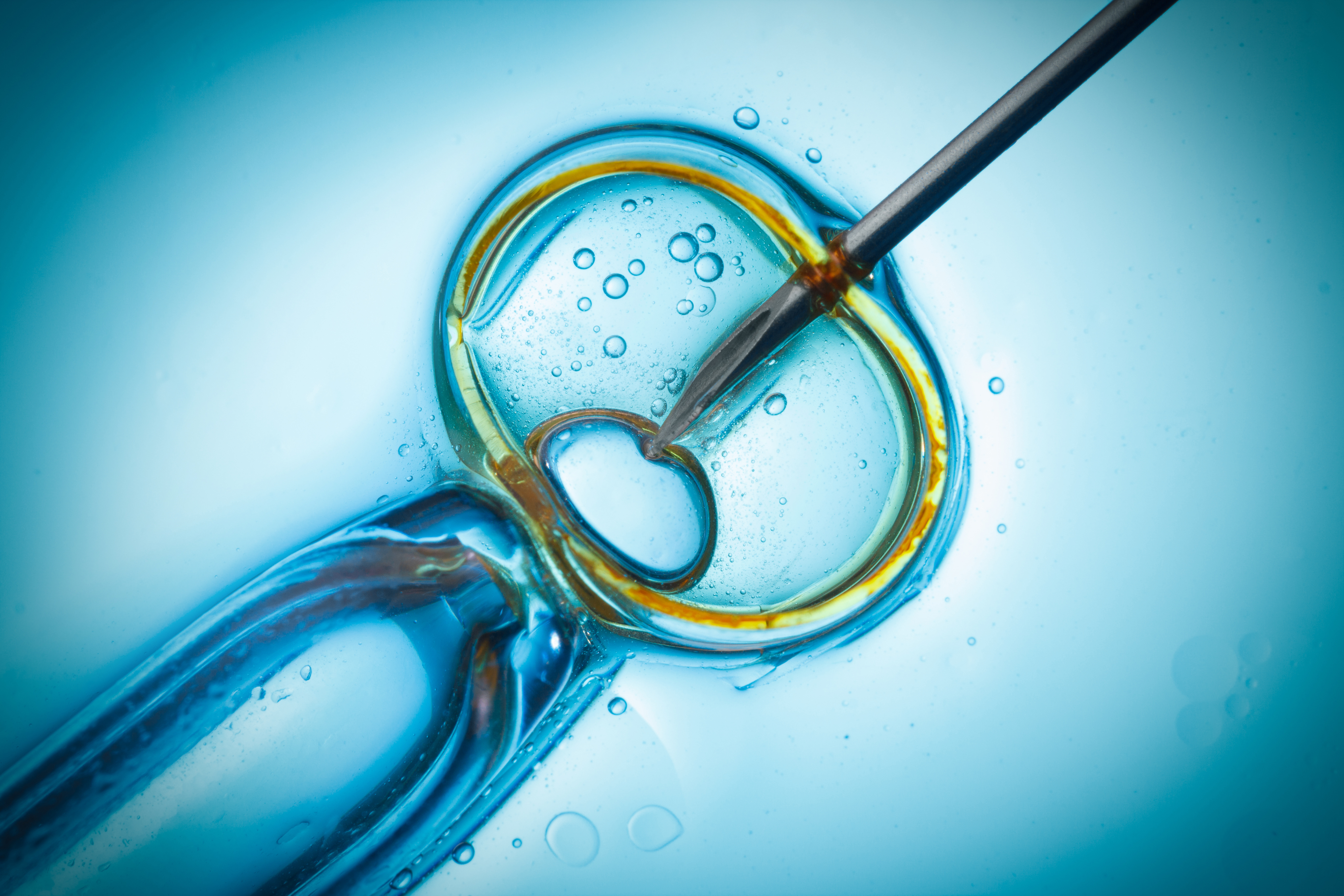 Article image for High Court rules sperm donor is the legal father of child