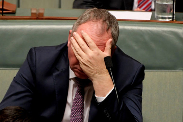 Article image for Why Barnaby Joyce told us he’s ‘struggling’ on his $211k salary