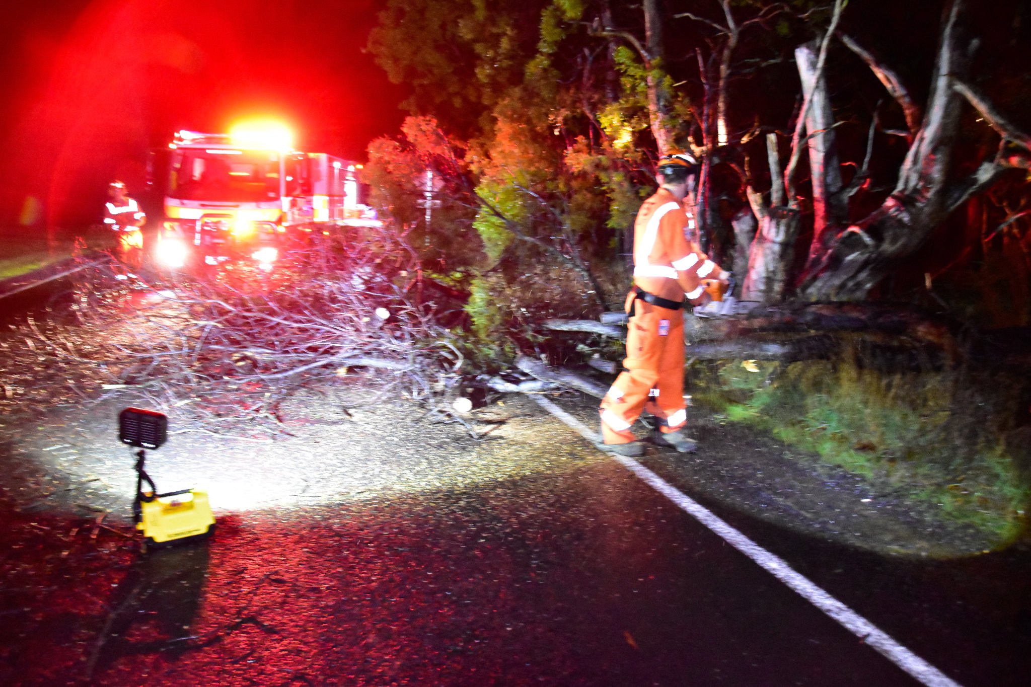 Article image for Wild winds lash Victoria, more to come