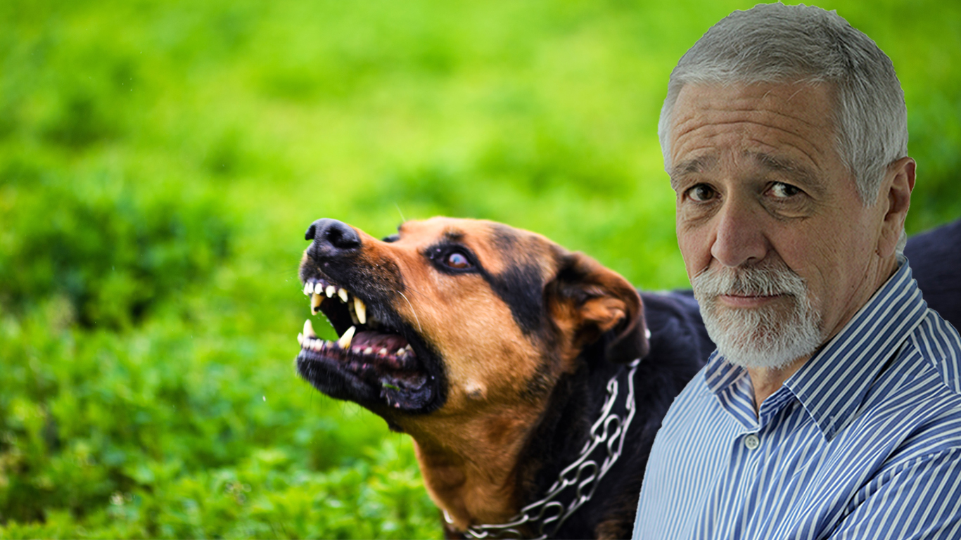 Article image for Neil Mitchell calls for tougher restrictions on dog owners after numerous attacks