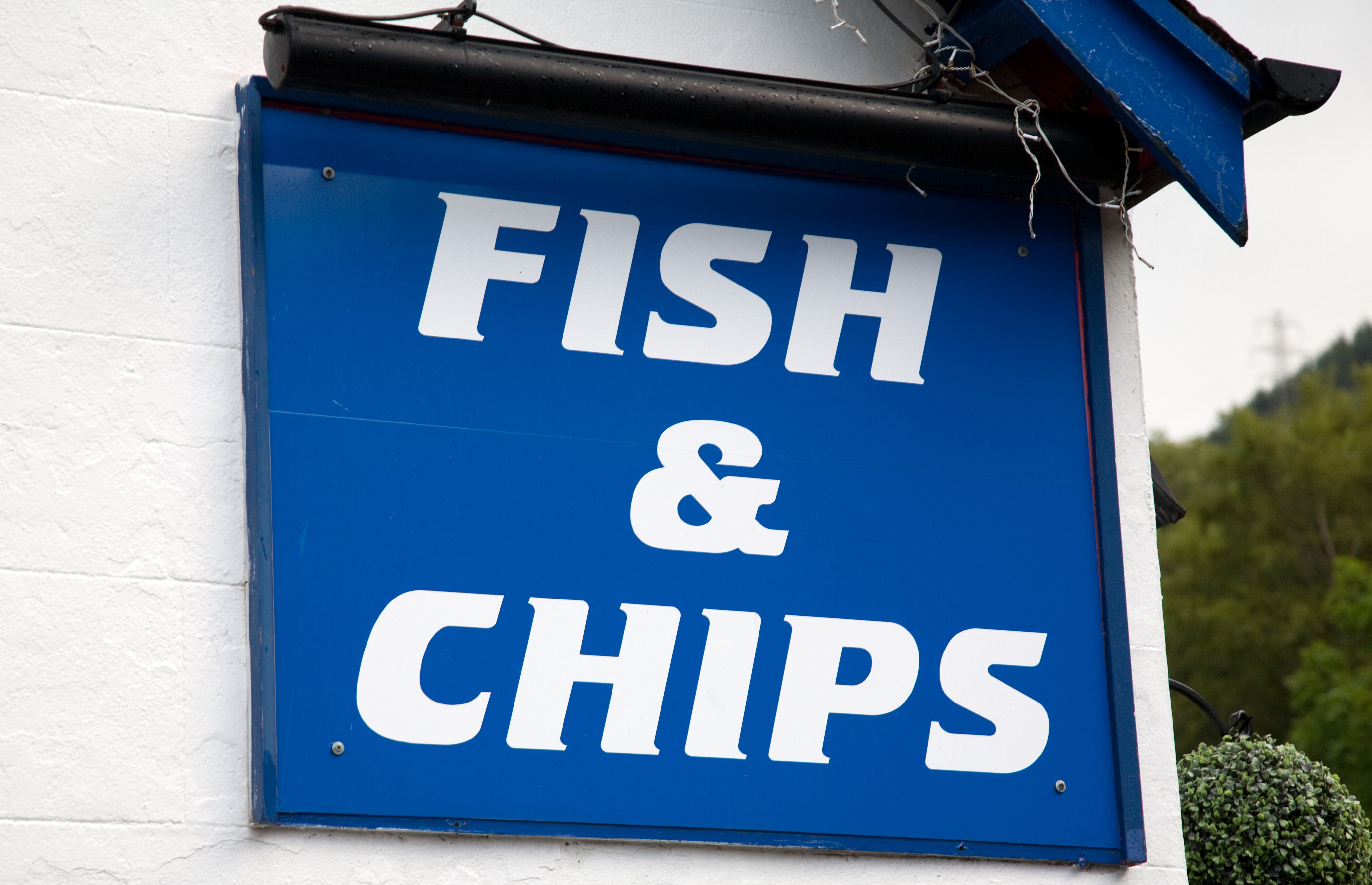 Article image for Fish and chip shop thief caught hiding in frozen fish display cabinet