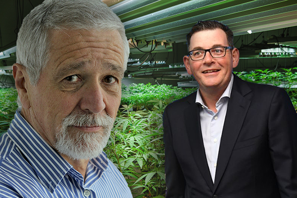 Article image for ‘Where’s the dope, Daniel?’: Neil Mitchell wants to know what’s happened to government cannabis crops
