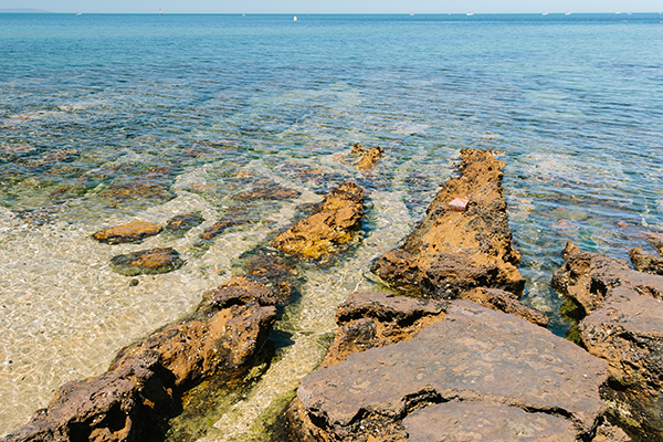 Article image for Mystery deepens in investigation into young woman’s remains in Beaumaris rockpool