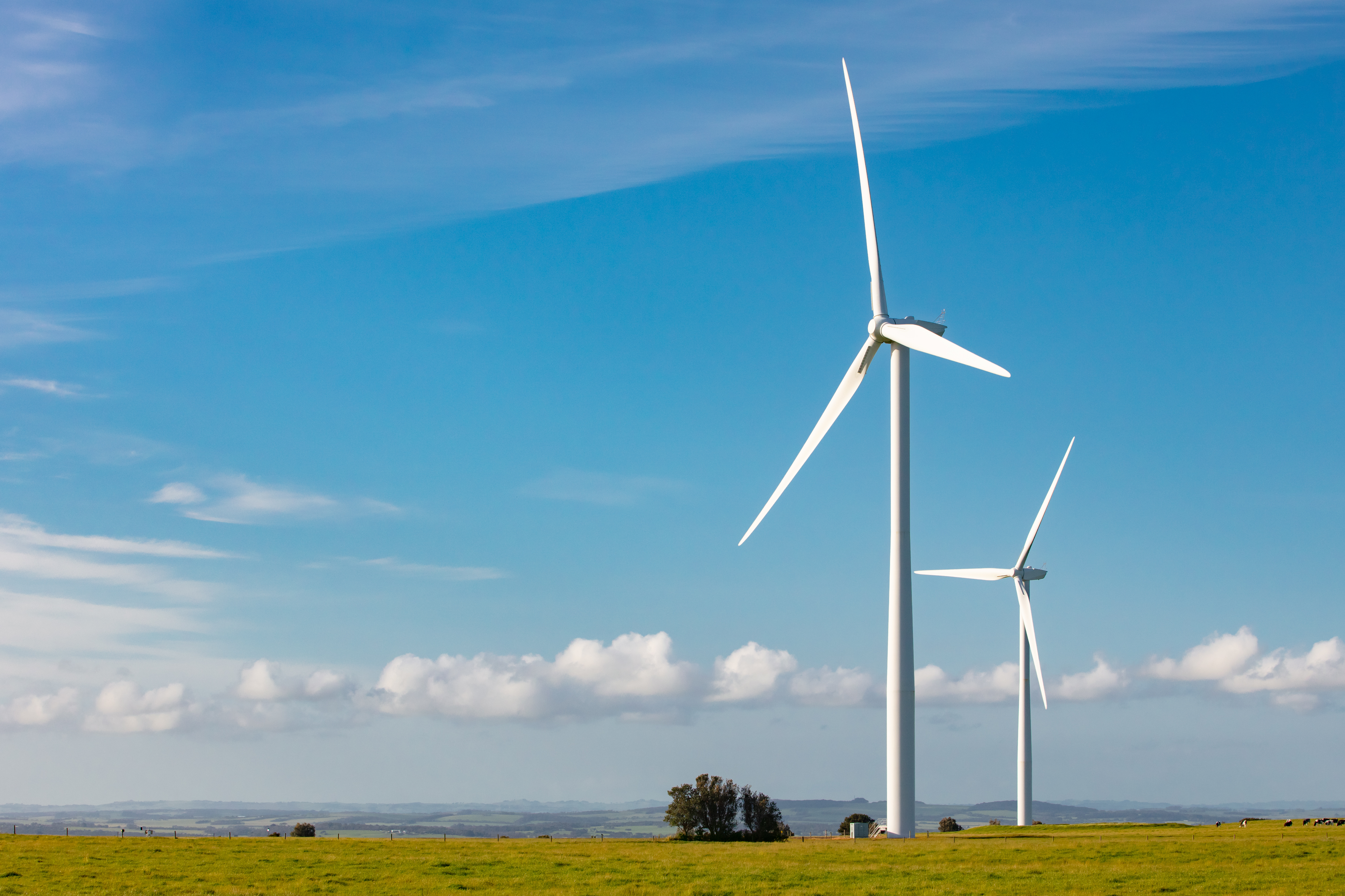 Article image for Victorian Greens stand by wind farms, but urge careful consideration amid bird concerns