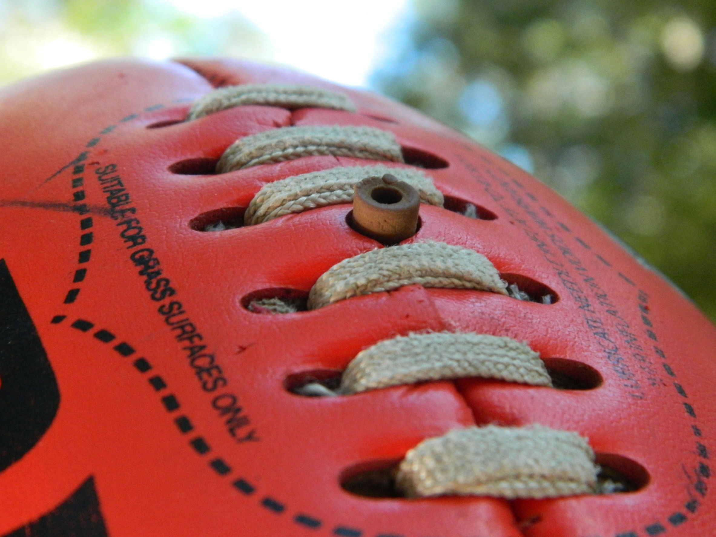 Article image for Historian questions Marngrook’s influence over AFL