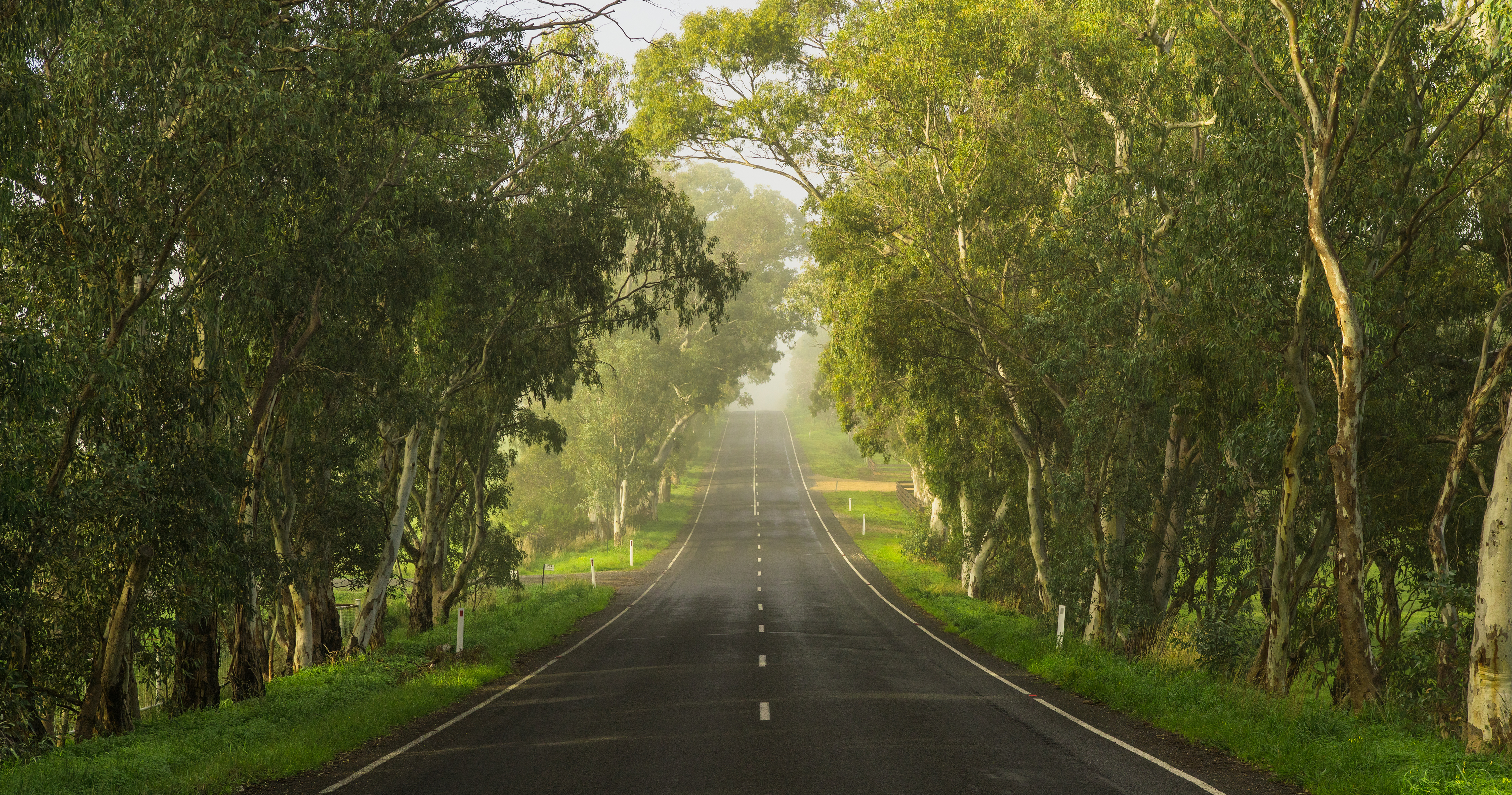 Article image for Deadly risk taking: A third of drivers admit to dangerous driving on country roads