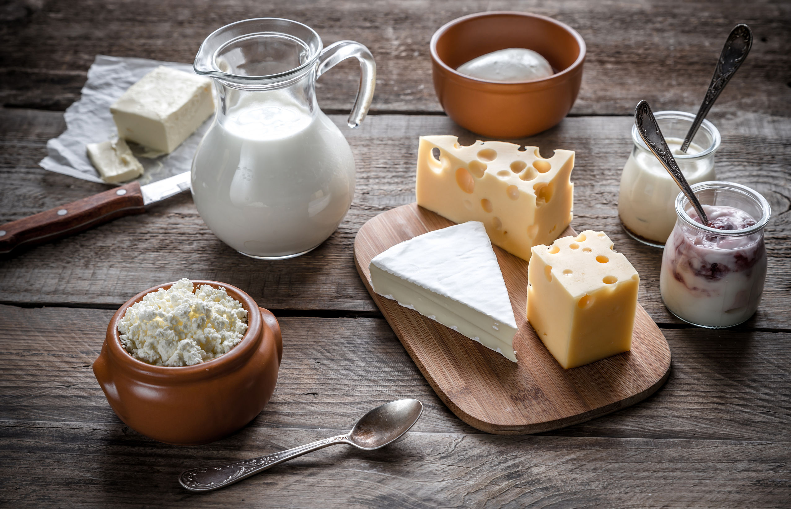 Article image for Scientists investigating dairy’s influence on mental and gut health